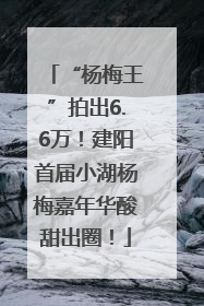 “杨梅王”拍出6.6万！建阳首届小湖杨梅嘉年华酸甜出圈！